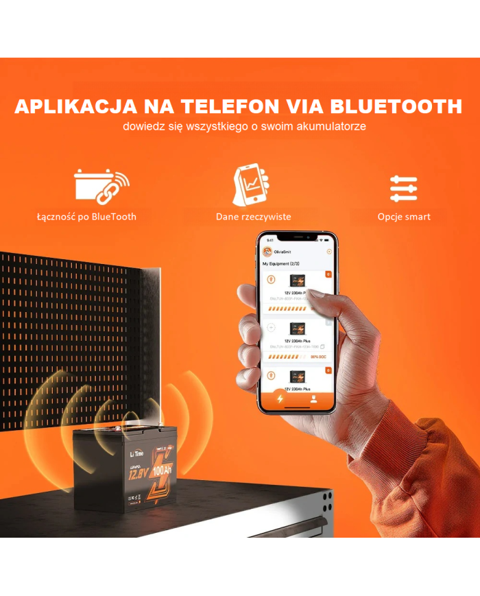 Baterie LiTime 12V 100Ah Bluetooth typ Group24 L12V100-100-GROUP24-BT-4-A70