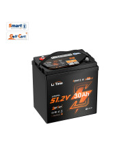 Litime 51,2V 30Ah GC Bluetooth baterie L51.2V30-100-GC-BT-32-AGC2