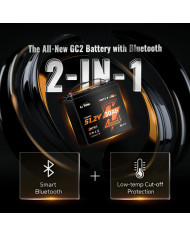Litime 51,2V 30Ah GC Bluetooth baterie L51.2V30-100-GC-BT-32-AGC2